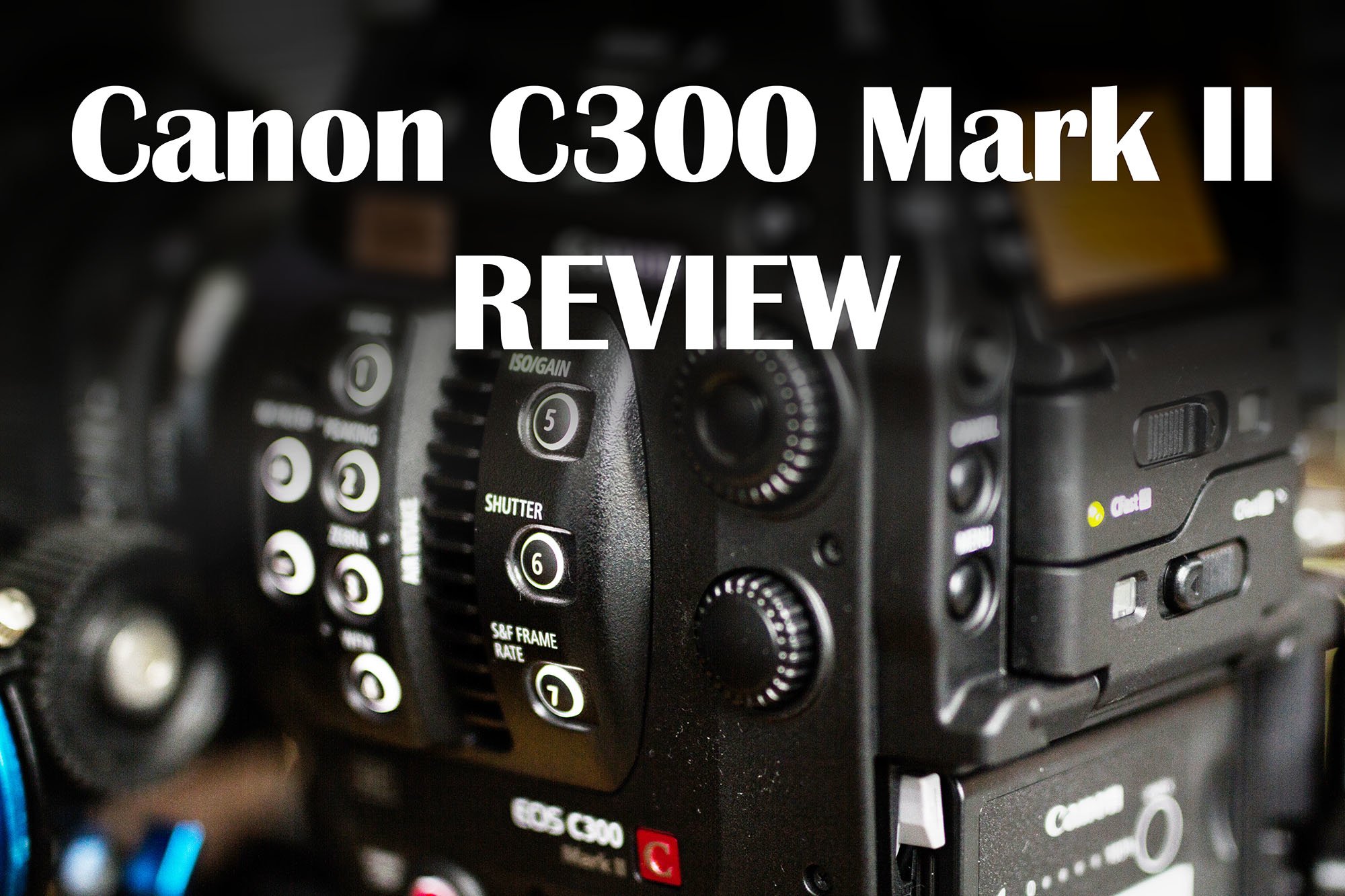 Canon C300 Mark II REVIEW